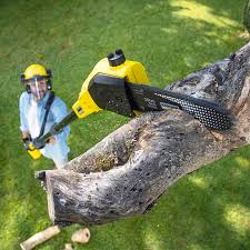 Best Leaf Removal  in Wildwood Lake, TN
