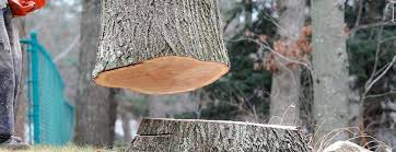 Best Commercial Tree Services  in Wildwood Lake, TN