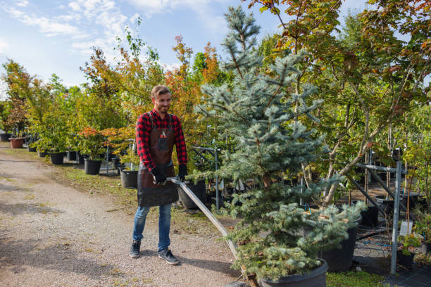 Best Tree Mulching  in Wildwood Lake, TN